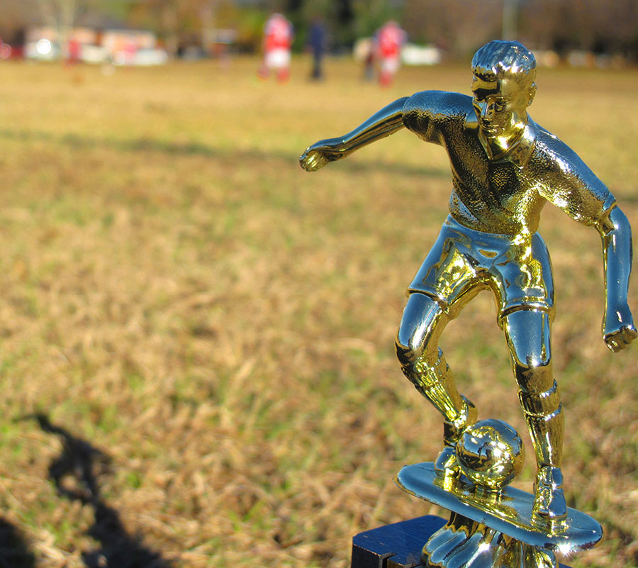 Soccer trophy on grass