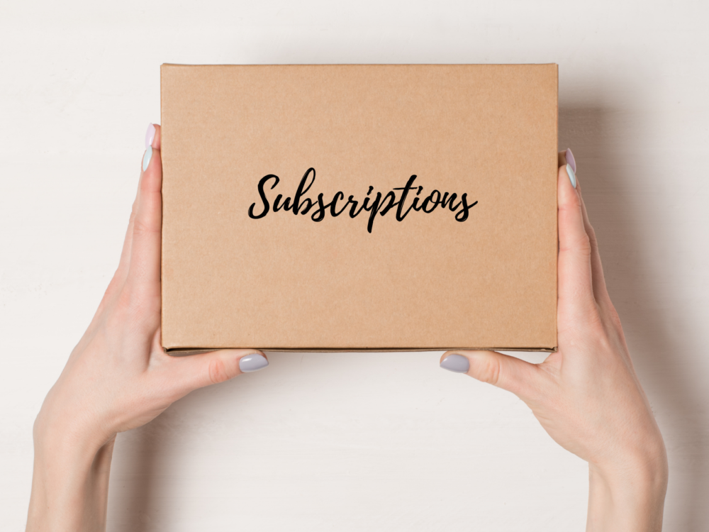 these-5-subscriptions-will-weatherproof-your-ecommerce-store-shop-plugins